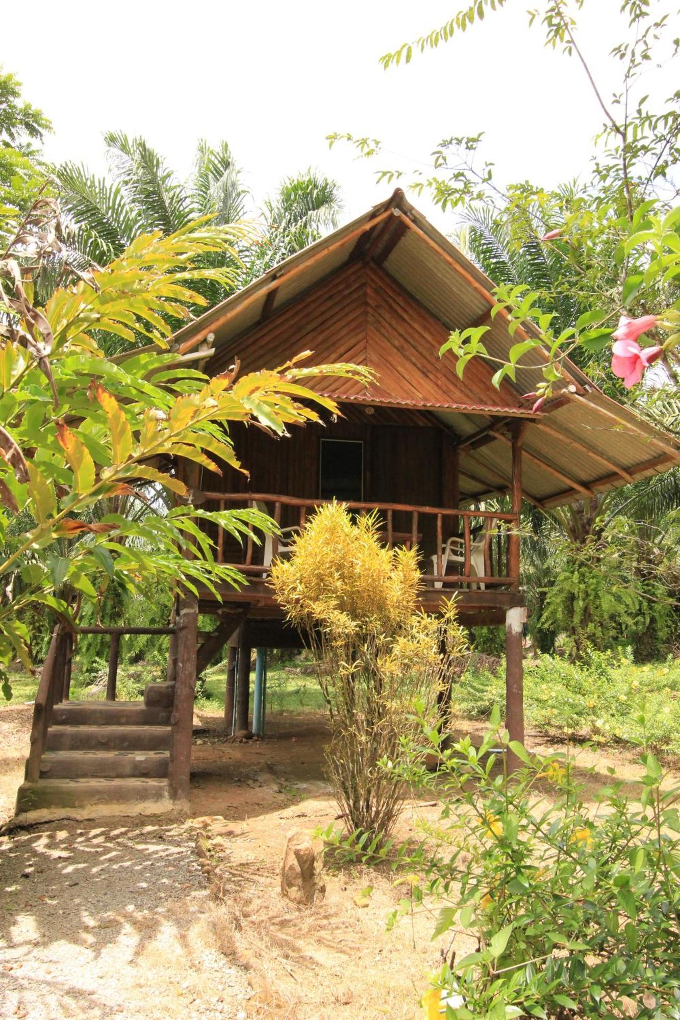 Station touristique Khao Sok Palmview