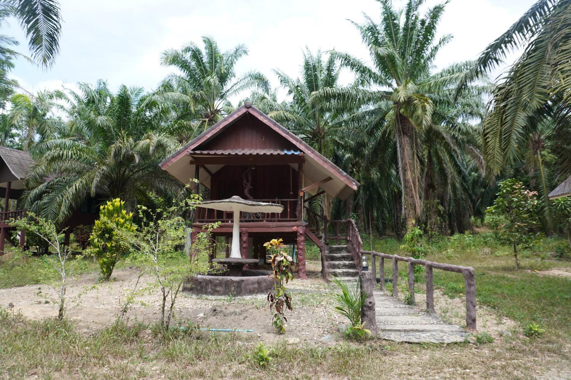 Khao Sok Palmview Station touristique