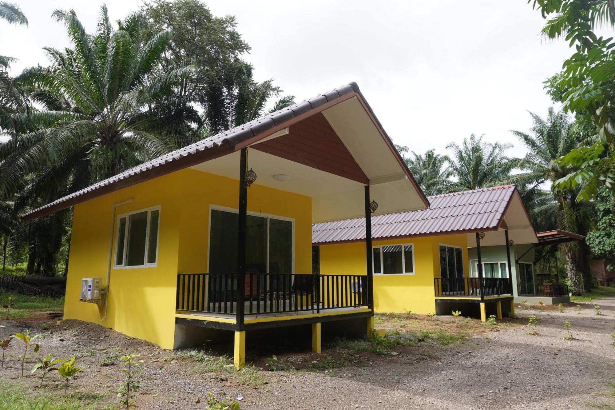 Khao Sok Palmview