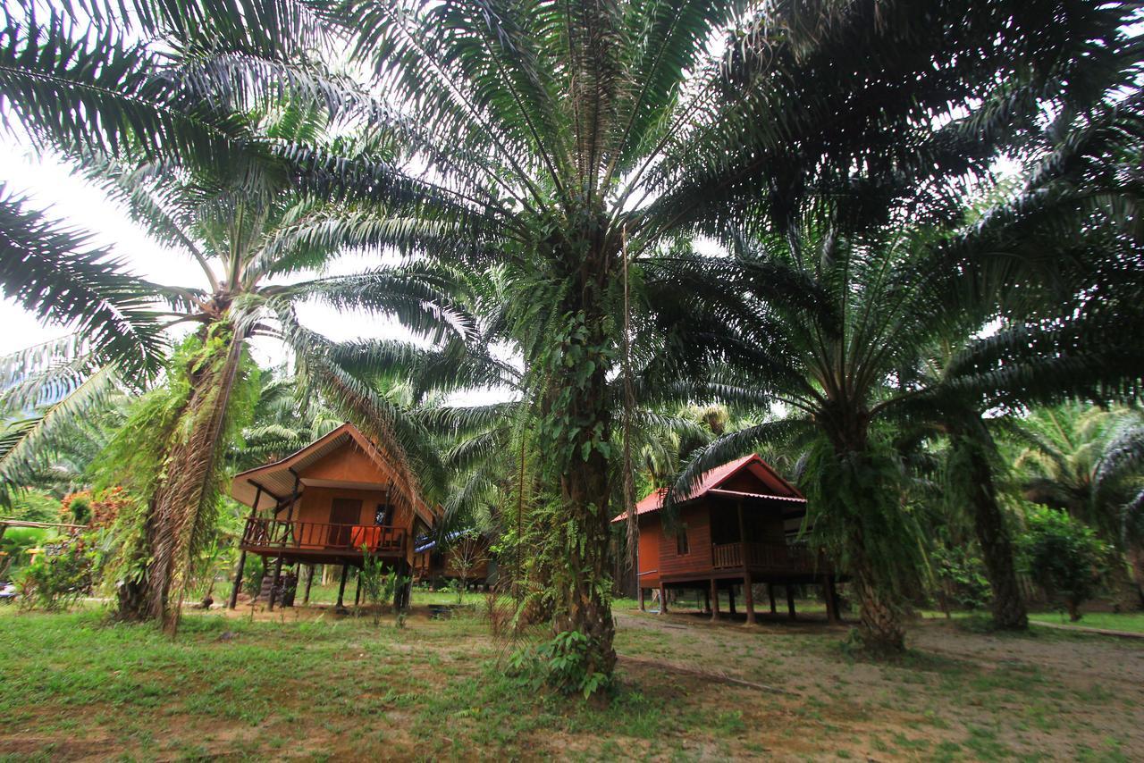 אתר נופש Khao Sok Palmview
